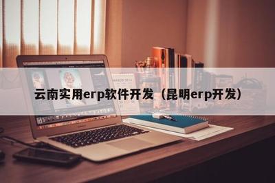 云南實用ERP軟件開發 聚焦昆明本地化需求，推動企業數字化轉型